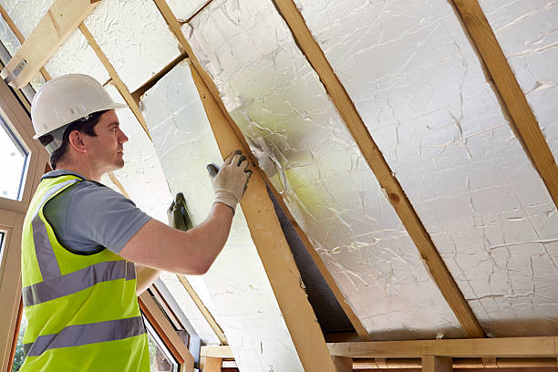 Best Spray Foam Insulation  in Davis, CA